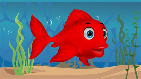kırmızı balık gölde kıvrıla kıvrıla yüzüyor